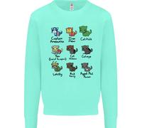 Felpa Jumper Divertenti Supereroi Gatti Per Bambini