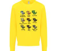 Felpa Jumper Divertenti Supereroi Gatti Per Bambini