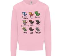 Felpa Jumper Divertenti Supereroi Gatti Per Bambini