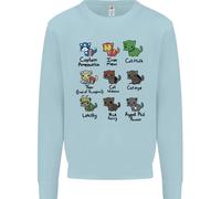 Felpa Jumper Divertenti Supereroi Gatti Per Bambini