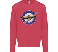 Felpa Jumper Hawker Hurricane Con Insegna RAF Per Bambini