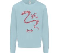 Felpa Jumper Per Bambini Anno Del SERPENTE Zodiacale Cinese