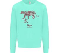 Felpa Jumper Per Bambini Anno Del TIGRE Del Segno Zodiacale Cinese