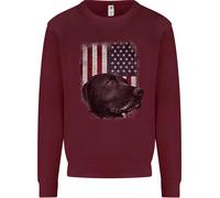 Felpa Jumper Per Bambini Con Bandiera Degli Stati Uniti E Labrador Americano