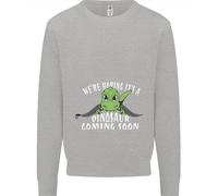 Felpa Jumper Per Bambini In Arrivo Nuovo Gravidanza Dinosaur