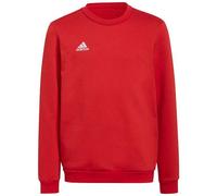 Felpa Junior Adidas Entrada 22 Hoody Cotone Felpato H57473 Rosso