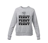 Felpa Knock Knock Penny Sheldon Theory - Felpa Girocollo Telefilm Scienza Leonard Raj Wolowitz (S, Grigio)