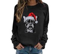 Felpa Nera Semplice Maglioncino Cashmere Calda Garzate Orsetto Corte Architetto Obliqua Ali Cachemire Yoga Allenamento Etniche Americano Viscosa Renne Una Online Cipria