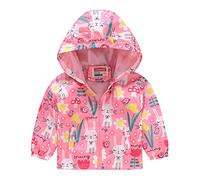 Felpa per Bambini a Maniche Lunghe con Zip per Neonati, Neonati, Bambini, Ragazzi E Ragazze, Pullover con Stampa,Felpa Leggera Bambini,Giubbotto Neonata Antivento,Giacca a (04-Pink, 12-18 Months)