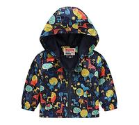 Felpa per Bambini a Maniche Lunghe con Zip per Neonati, Neonati, Bambini, Ragazzi E Ragazze, Pullover con Stampa,Felpa Leggera Bambini,Giubbotto Neonata Antivento,Giacca a (01-Sky Blue, 2-3 Years)