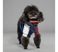 Felpa per cani colorazione a blocchi Base blu Bauzaar Modello 2 - Fantasia 2 base blu - 1° ORDINE? scegli lo sconto BZR5 / BZR20 + 200 punti fedeltà blu