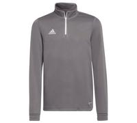 Felpa per ragazzi Adidas Kids Entrada 22 Training - Grigio (140 cm)