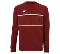 Felpa per ragazzi Tecnifibre Team Sweater Junior - cardinal - Rosso (XS)