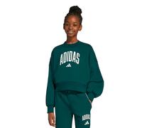 Felpa Ragazza Adidas Retrò Varsity - Verde