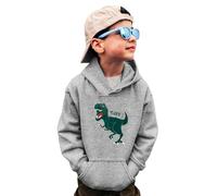 Felpa Ragazzi Felpe Felpe Ragazzi a Girocollo Truck-Shirts Dinosauri Manica Lunga Maglioni Tops Magliette Ragazzi Felpa Collo Scialle, grigio., 4-5 Jahre