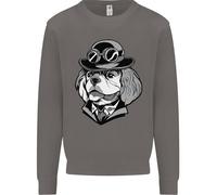 Felpa Steampunk King Charles Spaniel Cavalier Uomo