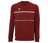 Felpa Tecnifibre Team Rouge L