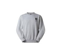 Felpa the north face celebration grigio unisex