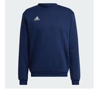Felpa Uomo Adidas Cotone Felpato Girocollo Entrada 22 H57480 Blu