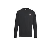 Felpa Uomo Dickies Nero