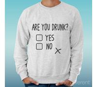 Felpa Uomo Grigio Are You Drunk? Funny Crazy Idea Regalo