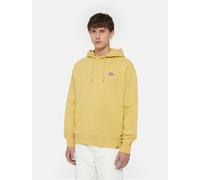 Felpa uomo millersburg con cappuccio Dickies