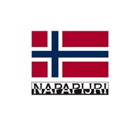 Felpa Uomo NAPAPIJRI BERIS H Cappuccio Logo Blu