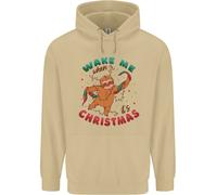 Felpa Uomo Sloth Wake Me Up When Its Christmas