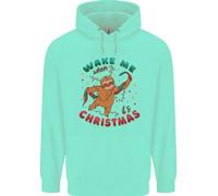 Felpa Uomo Sloth Wake Me Up When Its Christmas