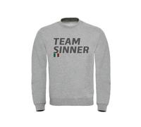 Felpa Uomo Team Sinner Vari Colori Taglie dalla S alla XXL - Felpa Modello Girocollo (M, Grigio)