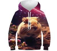 Felpe 3D Ragazzi Raccoon Pop Art Animale Stampato Felpe Casual Pullover con Cappuccio Maniche Lunghe Felpe Abbigliamento Invernale con Tasca, Simpatico criceto in galassia, 10-12 Years