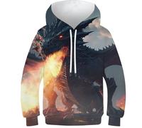 Felpe 3D Ragazzi Raccoon Pop Art Animale Stampato Felpe Casual Pullover con Cappuccio Maniche Lunghe Felpe Abbigliamento Invernale con Tasca, Drago di Fuoco Furia, 11-13 Years
