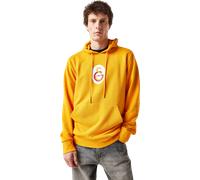 Felpe con cappuccio Puma Galatasaray Istanbul Hoody 8682917287037 in taglia S EU