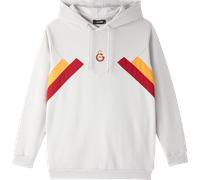 Felpe con cappuccio Puma Galatasaray Istanbul Hoody 8682917290556 in taglia S EU