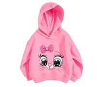 Felpe Invernali Ragazzo Felpa Autunnali e Bambini Cartoon Stampa per Inverno Autunno Sportswear con Cappuccio Foderate in Pile Winte Girocollo Top Tutti i Giorni