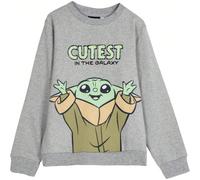 Felpe per ragazzi pre-adolescenti Questa felpa STAR WARS per bambini e bambine è il capo perfetto per combinare comfort, stile e calore per l'uso quotidiano. Realizzata in tessuto morbido e caldo, ide