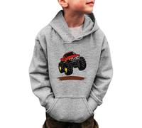 Felpe Ragazza Arcobaleno Bambini e Bambine Dinosaur Cars Felpe Manica Lunga con Cappuccio Pullover Bambini Piccoli Inverno Caldo Maglione Magliette 3 14 Anni Felpa Ragazze 13 14 (Grey, 9-10 Years)