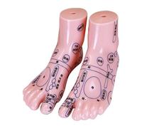 FELTECHELECTR Anatomico del Piede Compatto e Resistente per Riflessologia Plantare 1 in Pvc e Massaggio Agopuntura per Clinica
