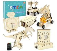 FEMBW Esperimenti per Bambini da 8 9 10 11 12, 6 PCS Bambini kit di Costruzione, Robot da Costruire Fai da Te, Kit di Esperimenti, Kit di Costruzione in Legno 3D, Regali da 8-14 Anni Ragazzi