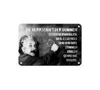 Femer Targa in metallo con citazione 12 x 18 cm Einstein Tafel Die Herrschaft der Schummen Deko Schild