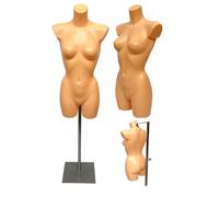 Femminile Espositore Manichino su Supporto Regolabile Lingerie Bagno Torso Busto