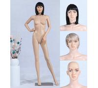 Femminile Maschile Manichino 2 Parrucche 2 Teste Gratis Mobile