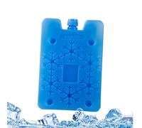 Fenayuu Ghiaccio Secco Per Frigo Portatile, Sacchetti Frigo Portatili Per Ventilatori, Gel Riutilizzabili Congelabili Per Pranzo Spiaggia Pesca Scuola Picnic Campeggio