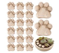 Fenayuu Pietre decorative, protezione dalle intemperie, ciottoli di drenaggio per piante in vaso, per cactus, giardino fatato, prato, sentieri, giardini, vasi, terrari, lavori di bricolage