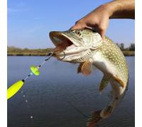 Fenayuu Terminali Da Per Pesce Gatto | Attrezzatura Per re Dalla Riva Il Pesce Gatto,Kit Portatile Multifunzionale Regalo Uomo