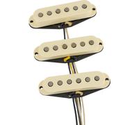 Fender Ancho Poblano Strat Set