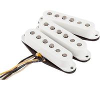 Fender Texas Special Strat Set