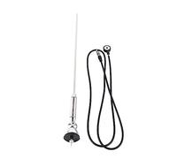 Fender del tetto dell'auto universale Radio AM ANTENNA ANENNA ANENNA FM 180 gradi molla molla mobile argenteo 16,5 pollici per la sostituzione del veicolo
