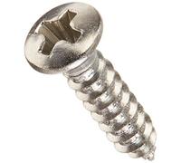 Fender Vis pour plaque Chrome