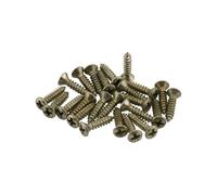 Fender Road Worn Pickguard/Control Plate Screws